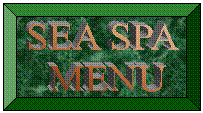 SEA SPA MENU 